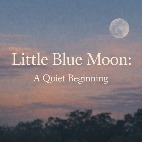 Little Blue Moon: A Quiet Beginning
