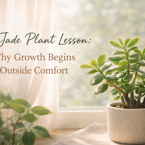 jade plant lesson about growth beyond comfort